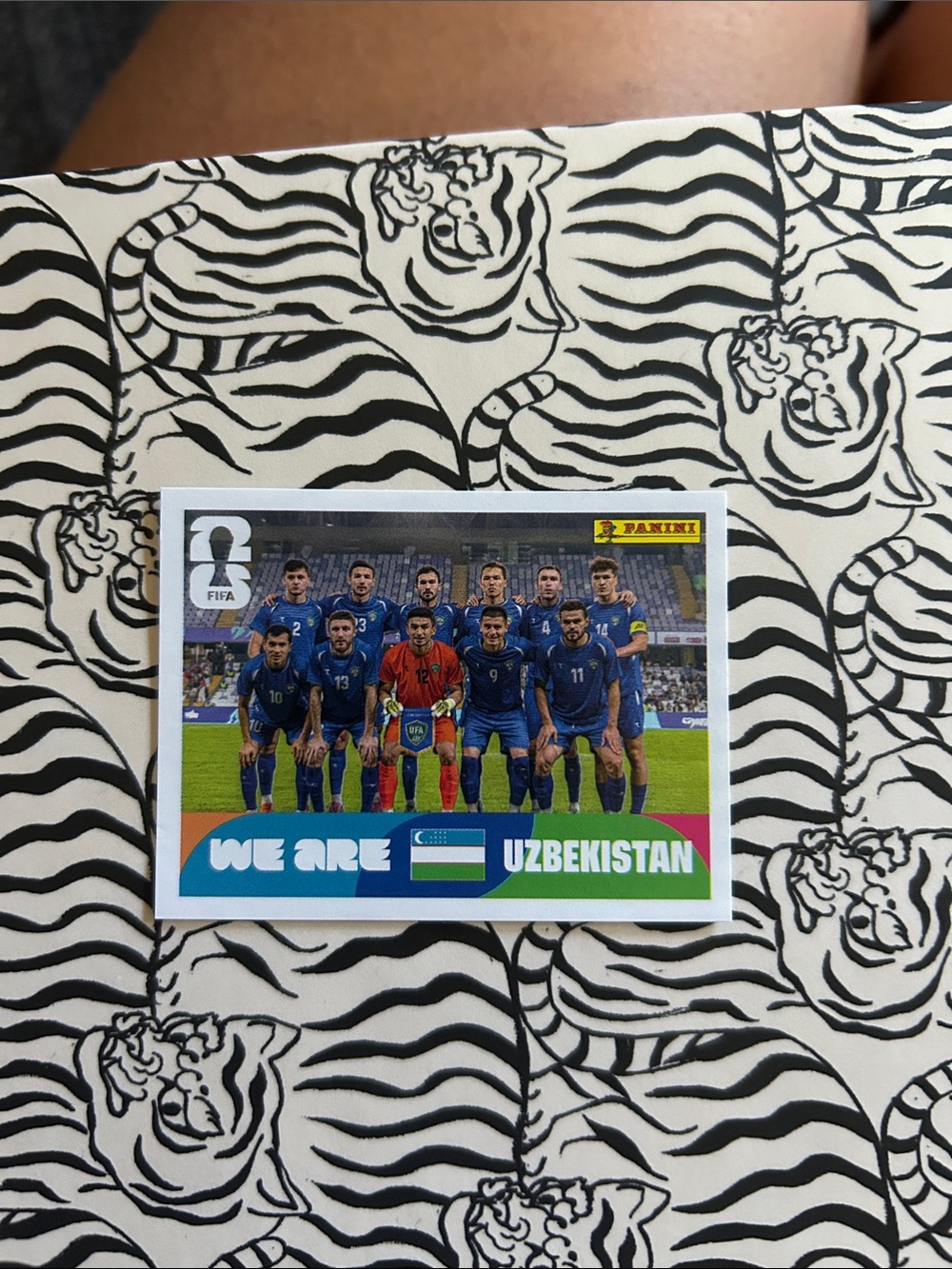 Panini Uzbekistan Team Sticker - Blue & Green UZB 13